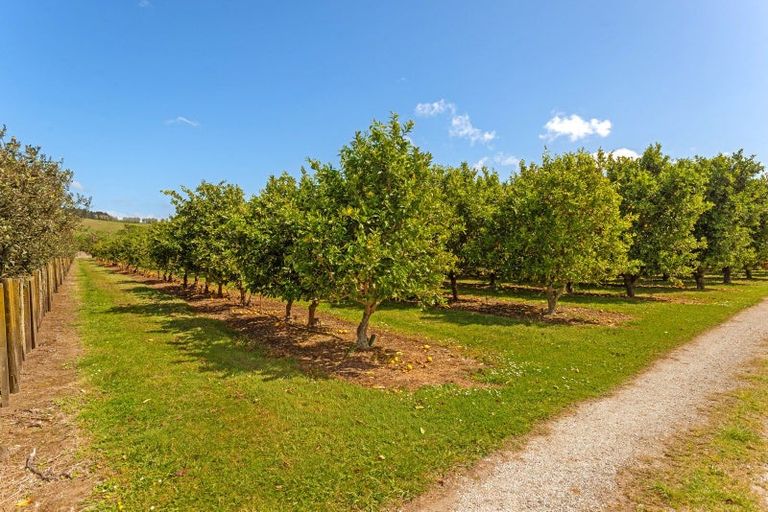 Photo of property in 47 Patutahi Road, Patutahi, Gisborne, 4072