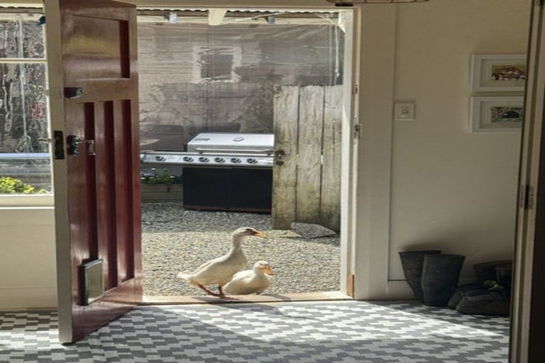 Photo of property in 331 Kaipara Flats Road, Warkworth, 0981