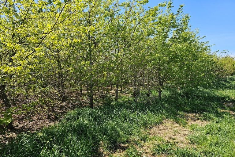 Photo of property in 577 Pesters Road, West Eyreton, Rangiora, 7475