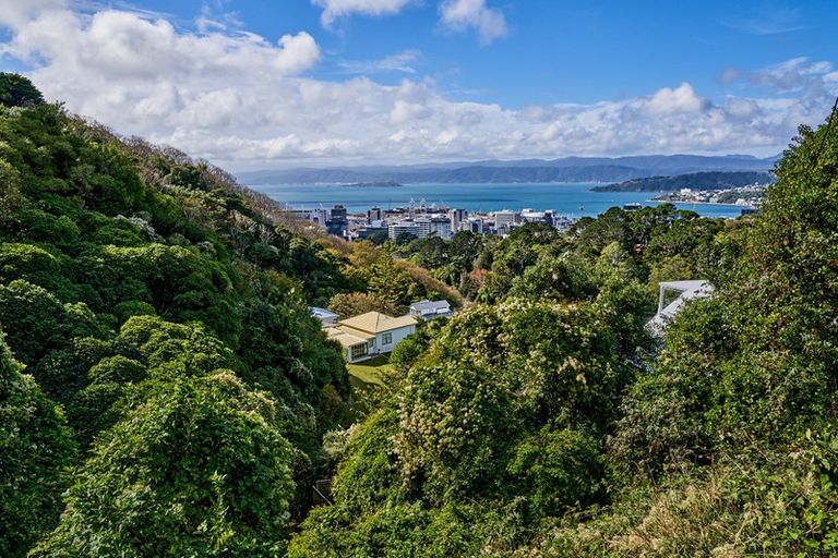 Photo of property in 48 Orangi Kaupapa Road, Northland, Wellington, 6012