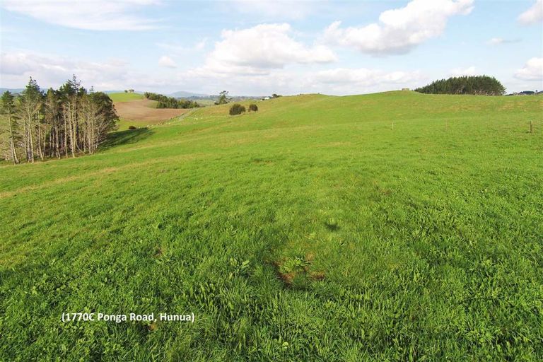 Photo of property in 1770c Ponga Road, Hunua, Papakura, 2584