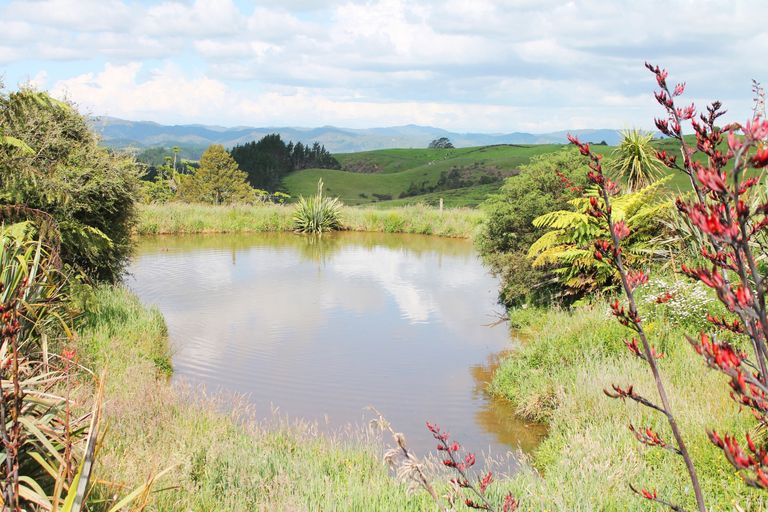 Photo of property in 1770c Ponga Road, Hunua, Papakura, 2584