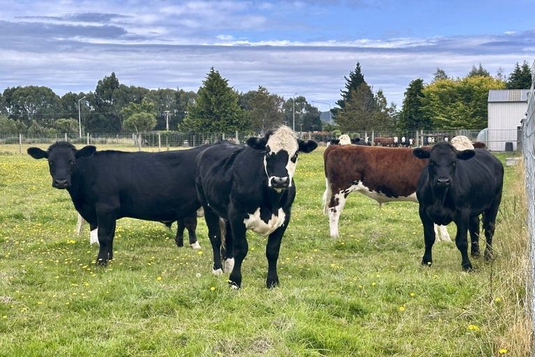 Photo of property in 35 Pioneer Highway, Mataura, Gore, 9774