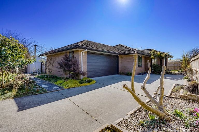 Photo of property in 171 Clyde Street, Hamilton East, Hamilton, 3216