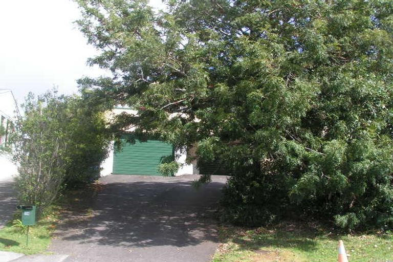 Photo of property in 14 Kennedy Avenue, Forrest Hill, Auckland, 0620
