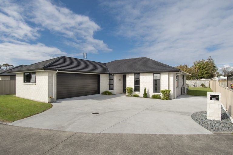 Photo of property in 22f Clive Road, Katikati, 3129