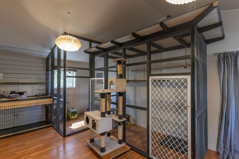 Photo of property in 492 Upper Plain Road, Upper Plain, Masterton, 5888