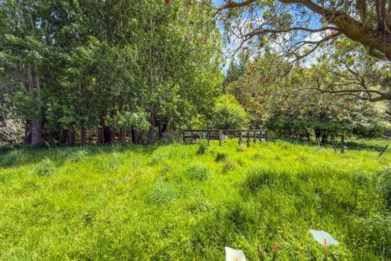 Photo of property in 301 Neavesville Road, Puriri, Thames, 3578