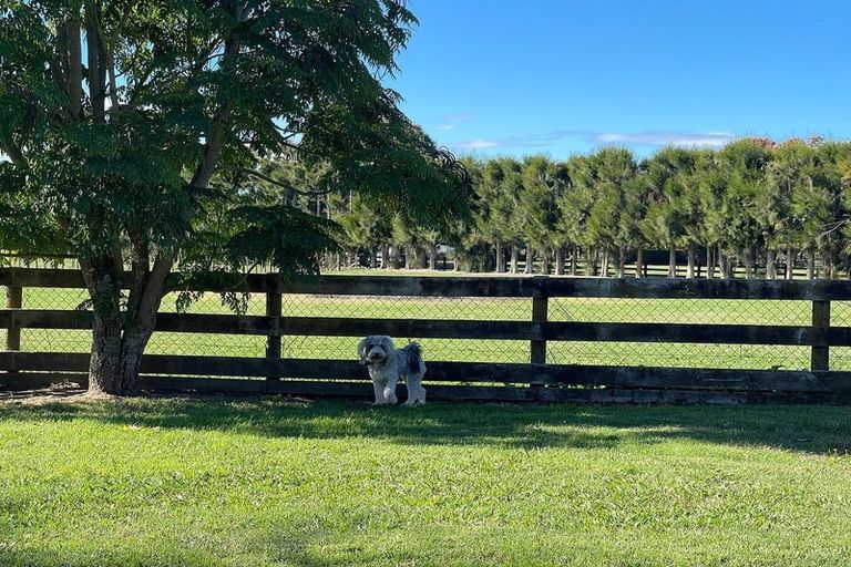 Photo of property in 265 Pencarrow Road, Tamahere, Hamilton, 3283