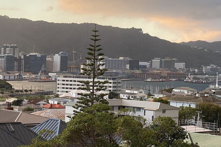 Photo of property in 14 Prince Street, Mount Victoria, Wellington, 6011