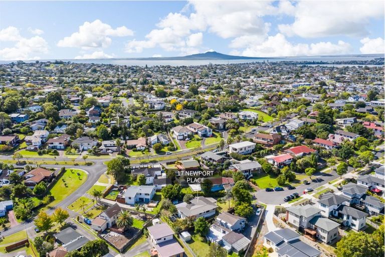 Photo of property in 17 Newport Place, Forrest Hill, Auckland, 0620