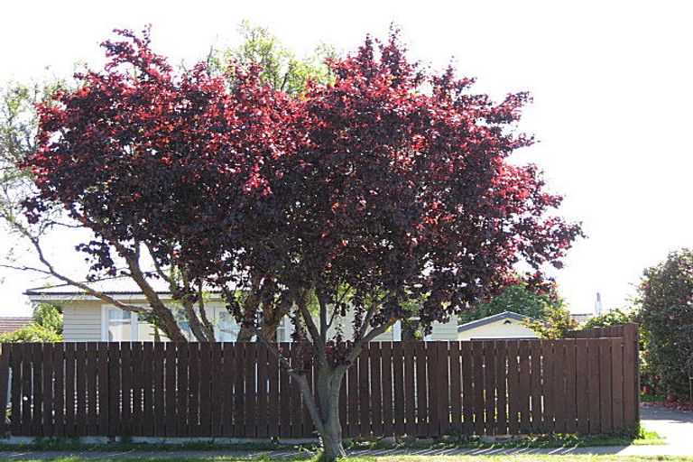 Photo of property in 56 Weld Street, Redwoodtown, Blenheim, 7201