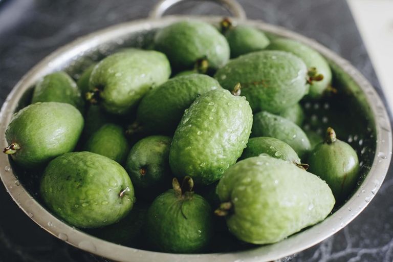 Photo of property in 17 Pekanga Drive, Fox Glacier, 7886