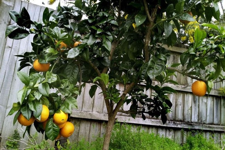 Photo of property in 19 Benita Place, Sunnyvale, Auckland, 0612