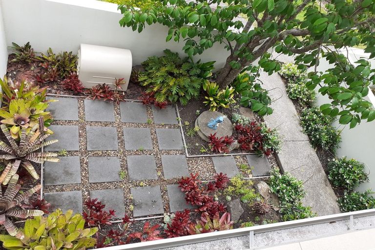 Photo of property in The Rise, 10/11 Hatfield Place, Albany Heights, Auckland, 0632