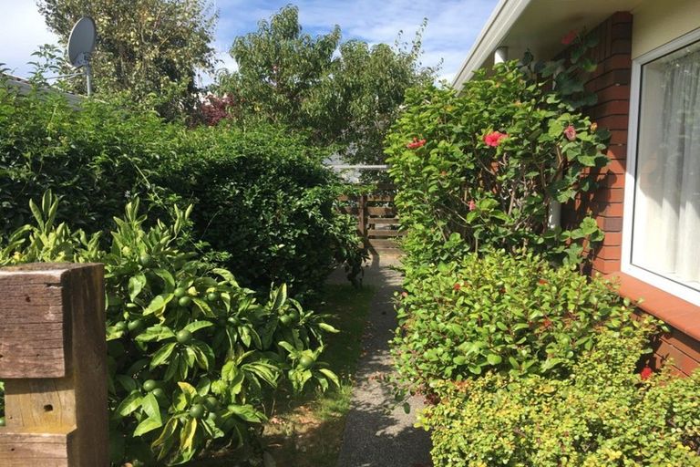 Photo of property in 21a Monowai Street, Mount Maunganui, 3116