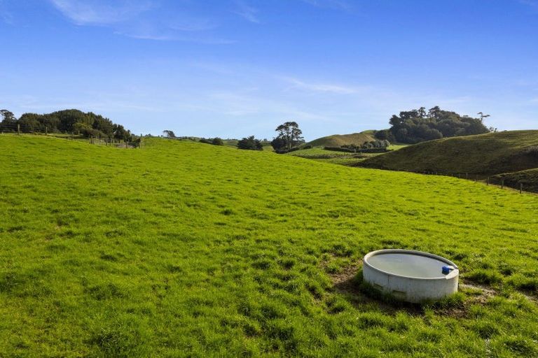 Photo of property in 1234 Richmond Road, Everett Park, Inglewood, 4389