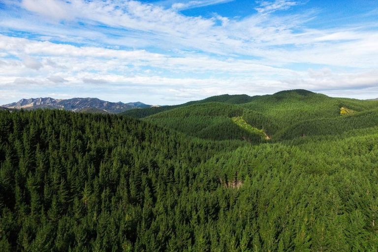 Photo of property in 2/298 Bealey Avenue, Christchurch Central, Christchurch, 8013