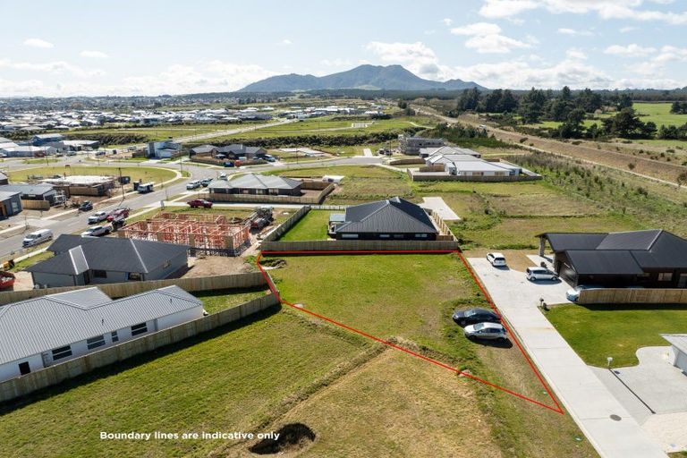 Photo of property in 85 Maru Terrace, Wharewaka, 3330