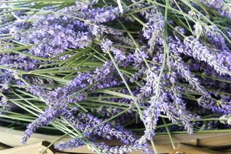 Photo of property in 376 Morgan Road, Matamata, 3472