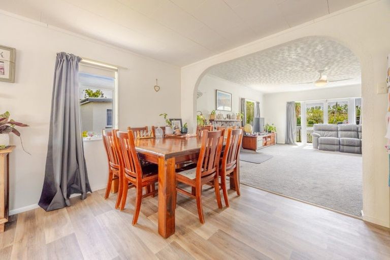 Photo of property in 38 Francis Drake Street, Waipukurau, 4200