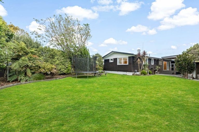 Photo of property in 6 Clinton Avenue, Te Atatu Peninsula, Auckland, 0610