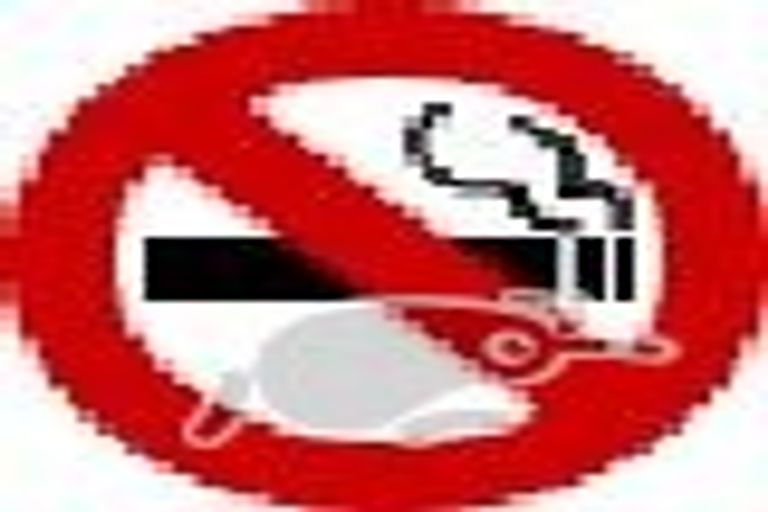 Photo of property in 46 Weka Street, The Wood, Nelson, 7010