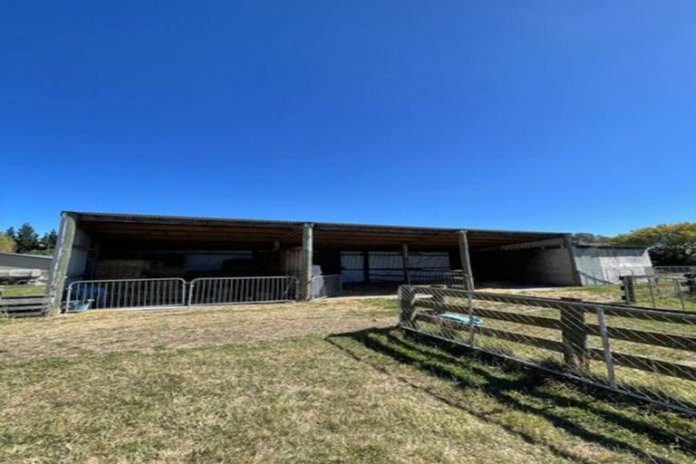 Photo of property in 153 Halcombe Road, Feilding, 4775