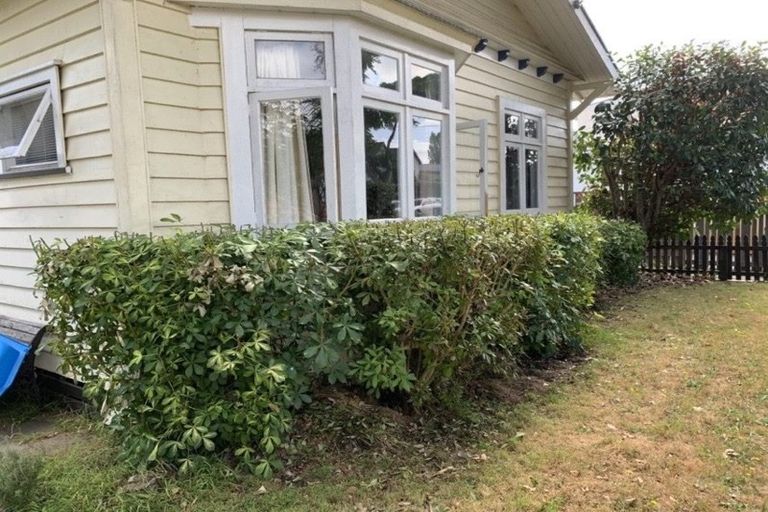 Photo of property in 31 Brookfield Street, Hamilton East, Hamilton, 3216