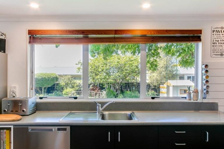 Photo of property in 20 Mcvay Street, Napier South, Napier, 4110