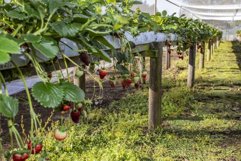 Photo of property in 2/1269 West Coast Road, West Melton, 7671