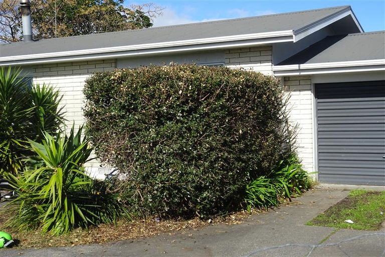 Photo of property in 60 Gloucester Road, Mount Maunganui, 3116