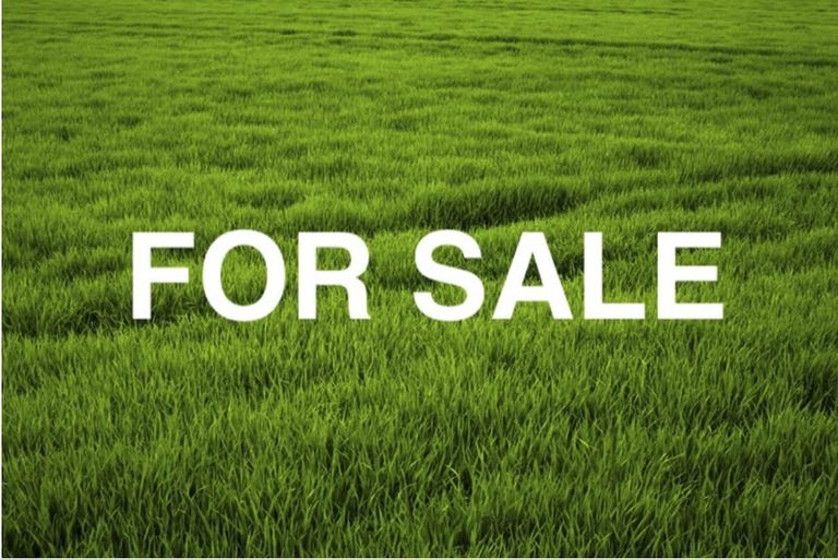 Photo of property in 11 Makomako Drive, Orewa, 0931