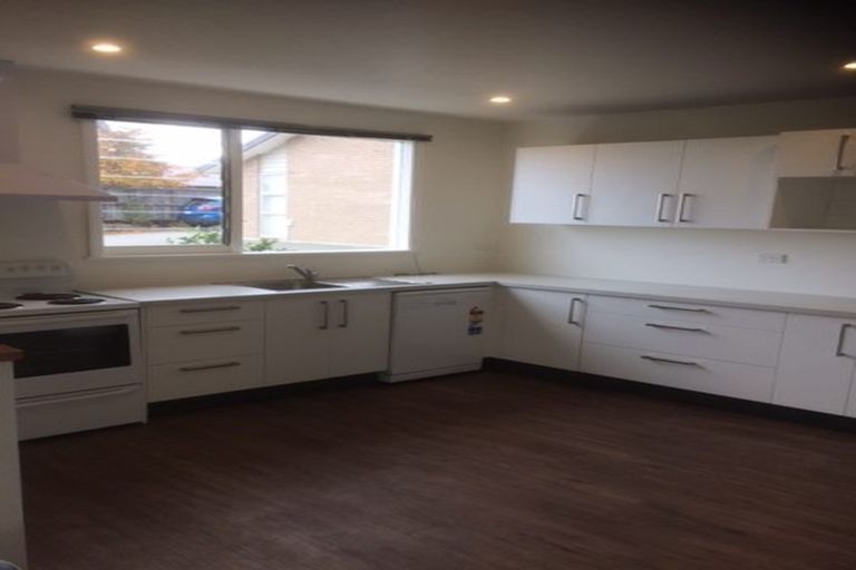 Photo of property in 12 Win Place, Richmond, 7020