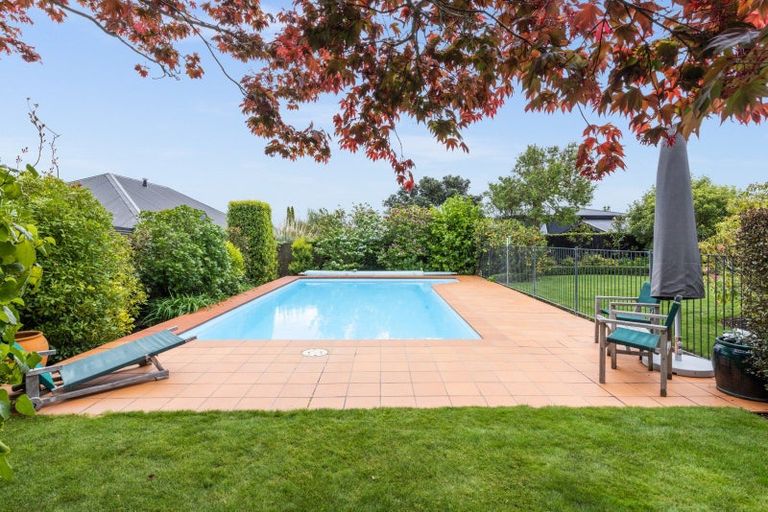 Photo of property in 42 Mchardy Street, Havelock North, 4130