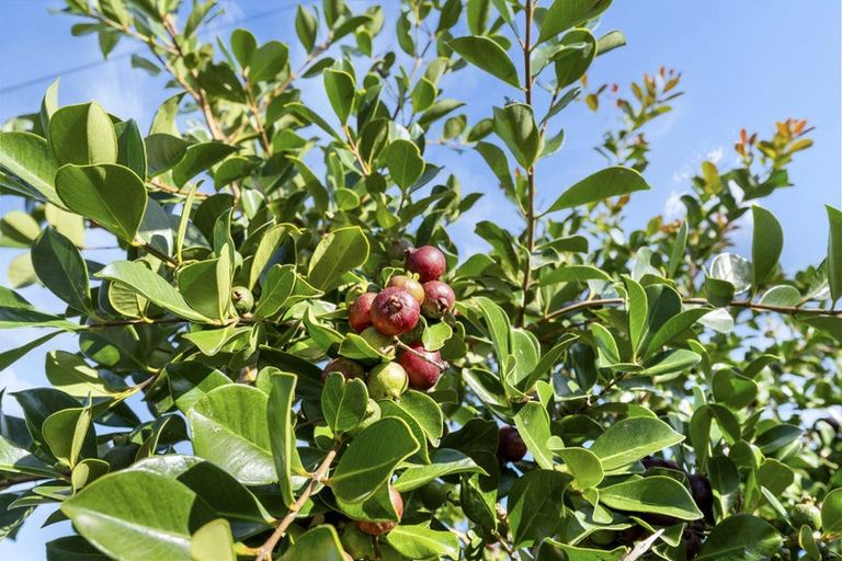 Photo of property in 6 Hughson Street, Waitara, 4320