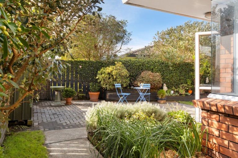 Photo of property in 55 Bayfair Drive, Mount Maunganui, 3116