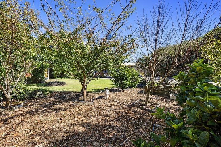 Photo of property in 21 Calgher Avenue, Waitara, 4320