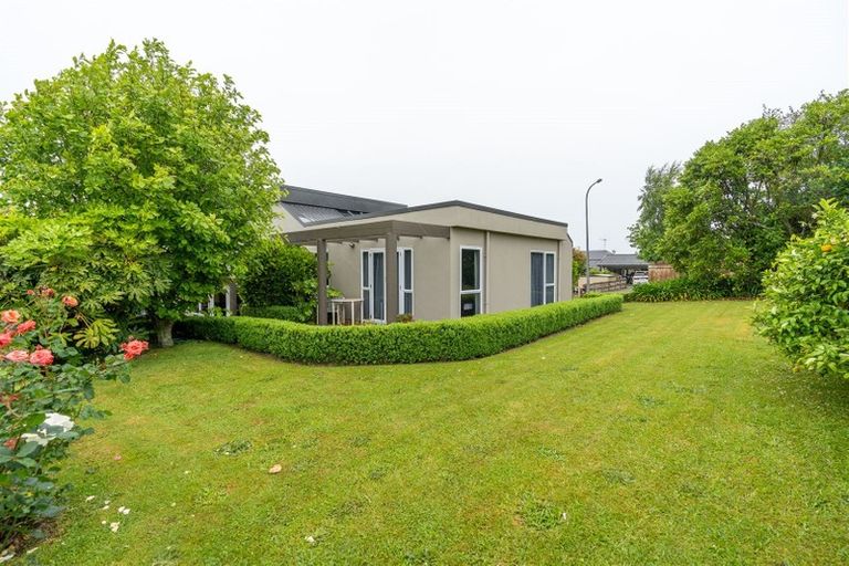 Photo of property in 3 Munro Place, Flagstaff, Hamilton, 3210