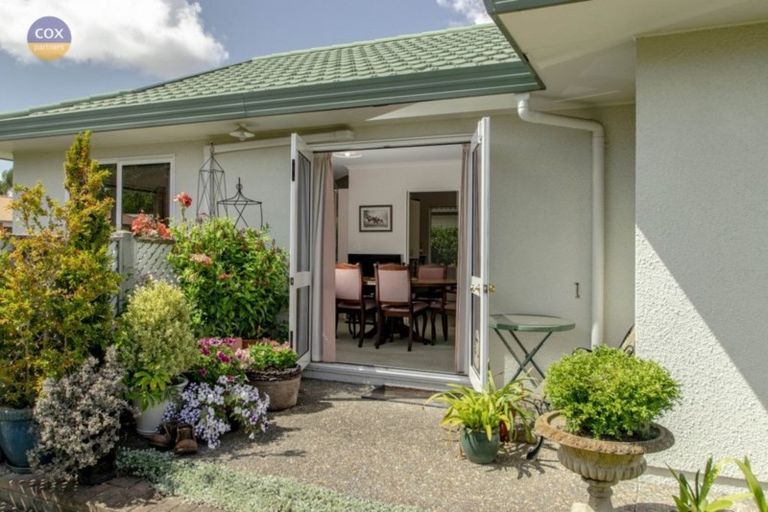 Photo of property in 21 Palmbrook Avenue, Havelock North, 4130