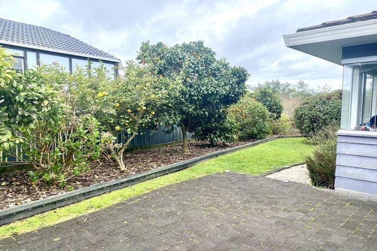 Photo of property in 80 Hammond Street, Hairini, Tauranga, 3112