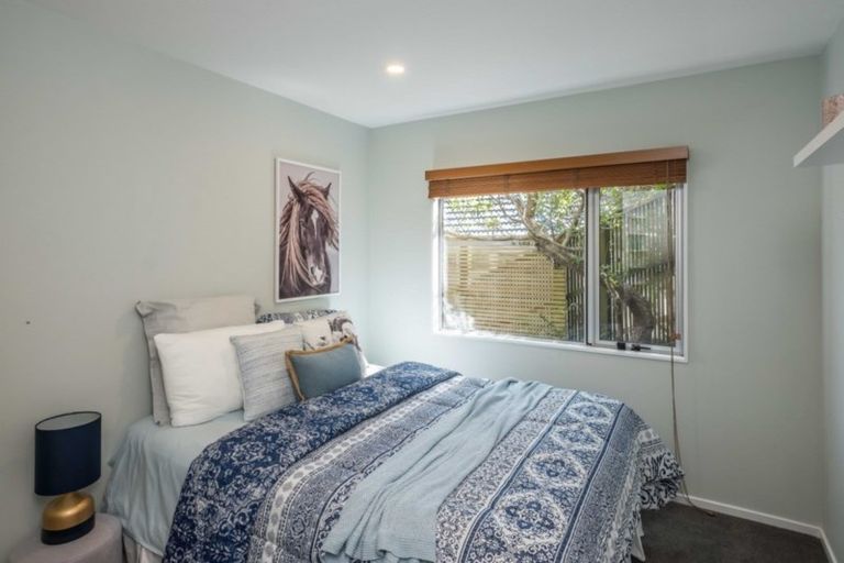 Photo of property in 52 Bedford Street, Northland, Wellington, 6012