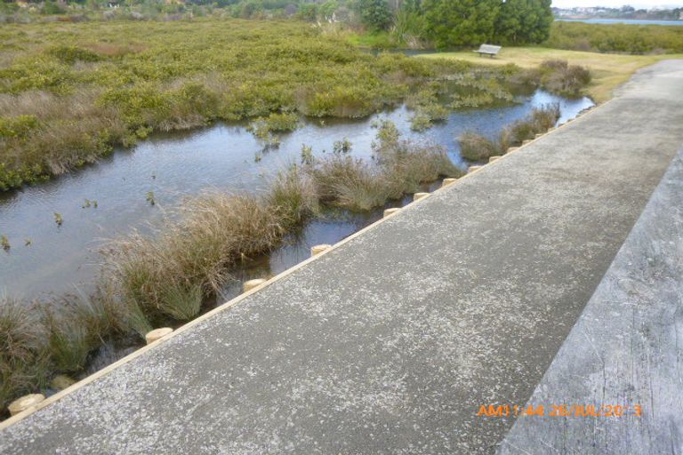 Photo of property in 31 Paradise Place, Matua, Tauranga, 3110