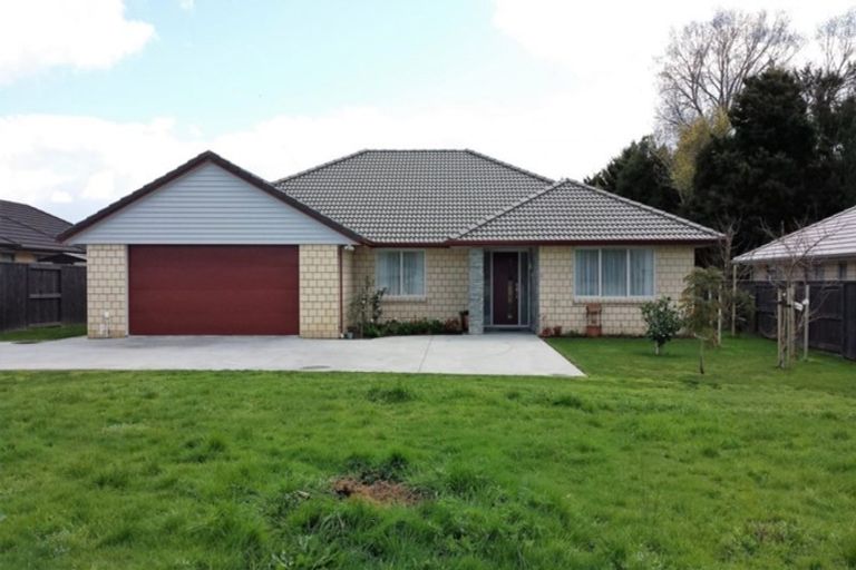 Photo of property in 8 Nolan Place, Katikati, 3129