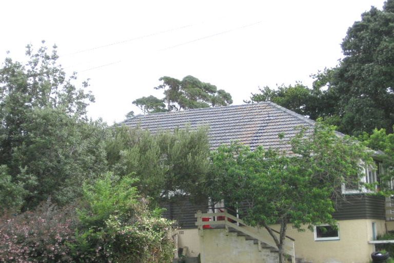 Photo of property in 170 Hendon Avenue, Mount Albert, Auckland, 1025