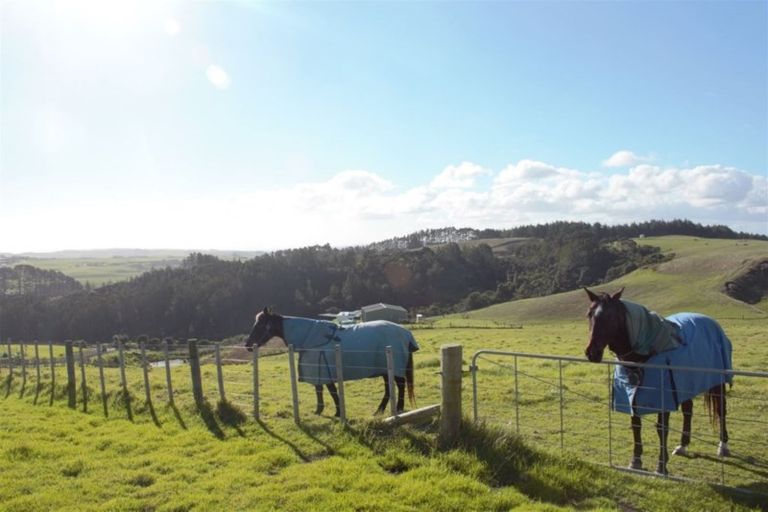 Photo of property in 71b Taiapa Valley Road, Muriwai, 0881