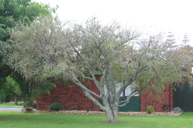 Photo of property in 8 Ti Nana Crescent, Henderson, Auckland, 0610