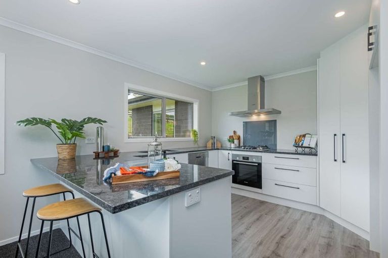 Photo of property in 13 Ingham Street, Halcombe, 4779