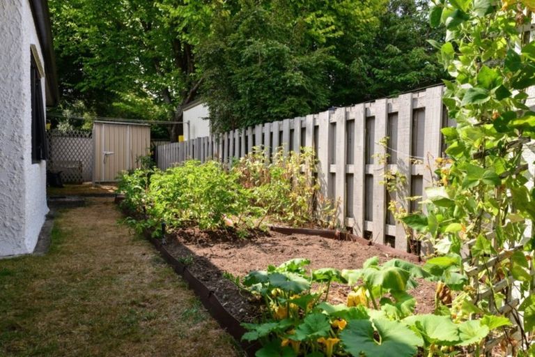 Photo of property in 10b Arcus Street, St Andrews, Hamilton, 3200