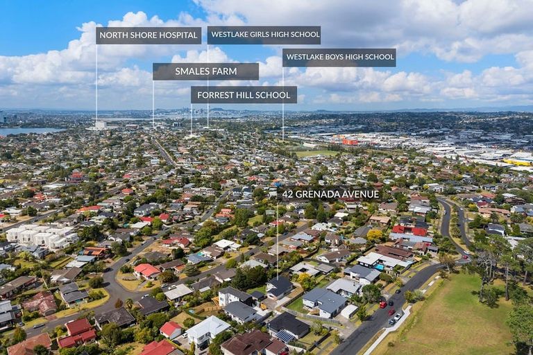 Photo of property in 42 Grenada Avenue, Forrest Hill, Auckland, 0620